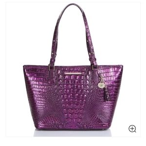 Purple Potion Asher Brahmin
